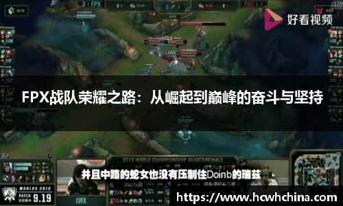 球速体育平台登录入口